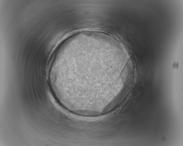 X0000112730002200910011208
