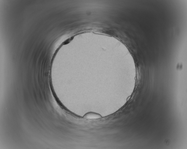 X0000112730003200910011208