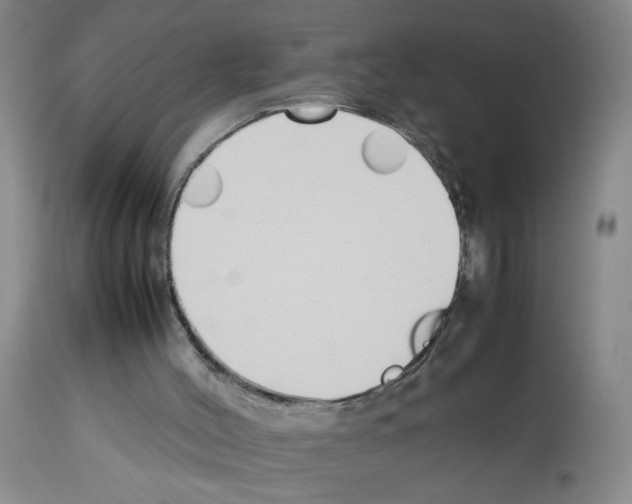 X0000112730004200910011208