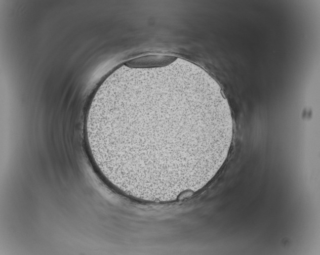 X0000112730005200910011208
