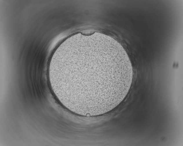 X0000112730006200910011208