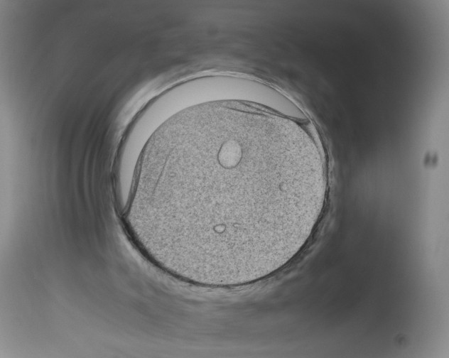 X0000112730007200910011208
