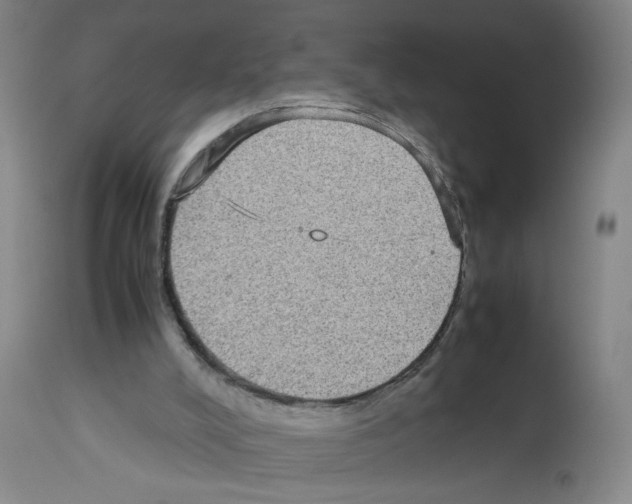 X0000112730008200910011208