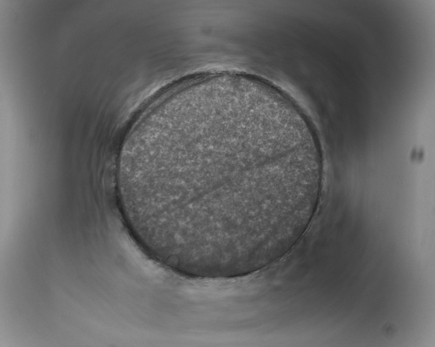 X0000112730009200910011208