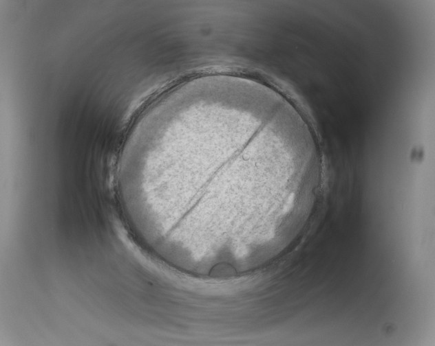 X0000112730010200910011208