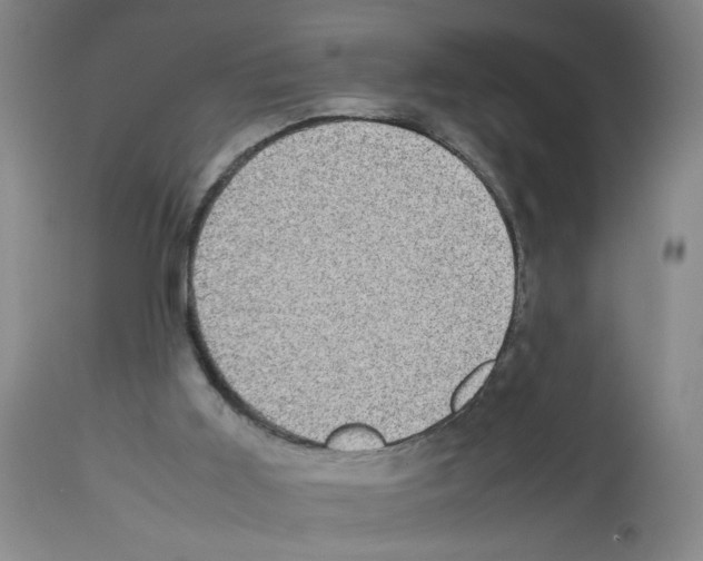 X0000112730011200910011208