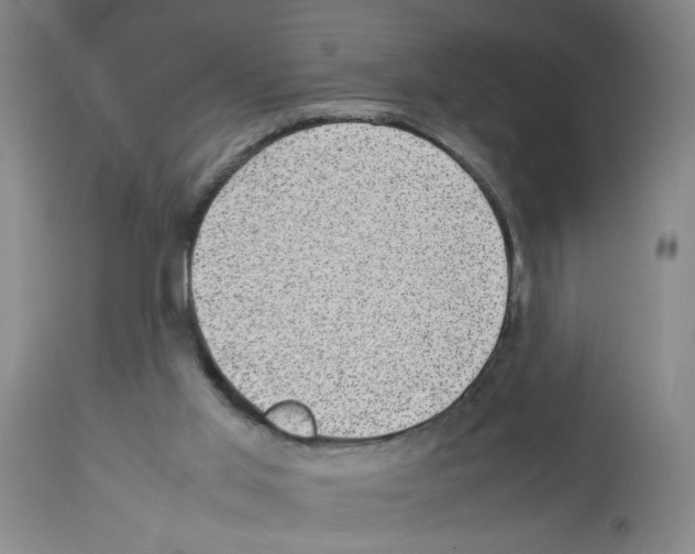 X0000112730013200910011208
