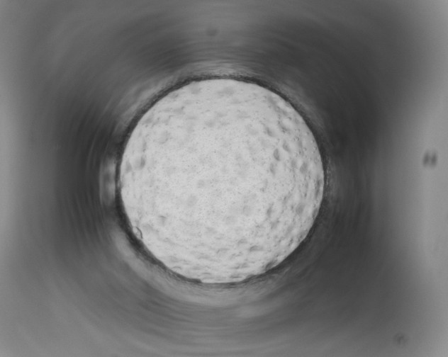 X0000112730014200910011208