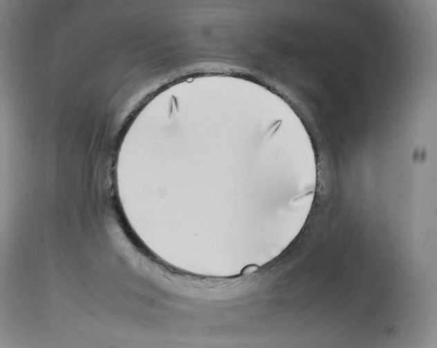 X0000112730015200910011208