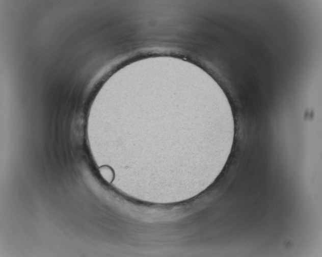 X0000112730016200910011208