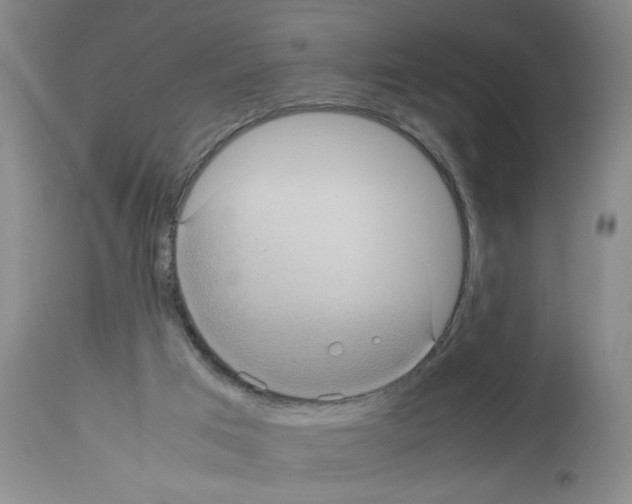 X0000112730017200910011208