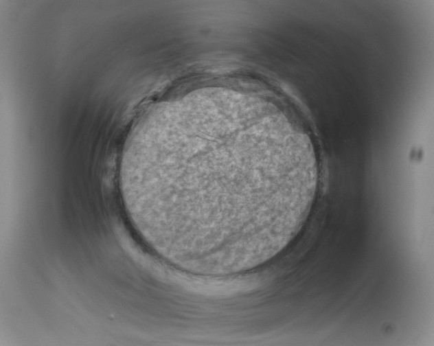X0000112730018200910011208