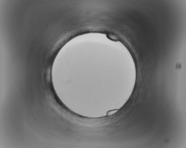 X0000112730019200910011208