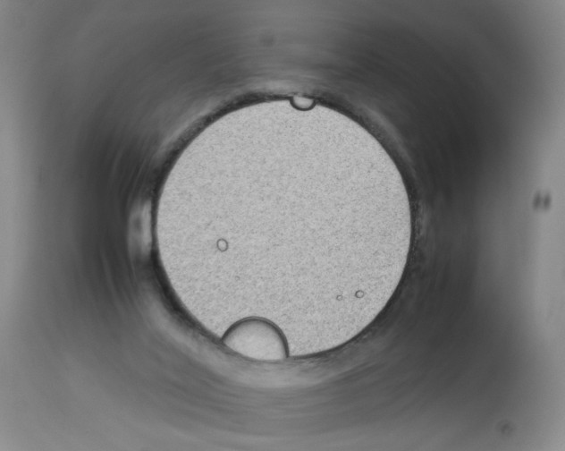 X0000112730020200910011208