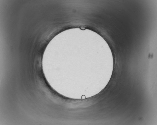 X0000112730021200910011208