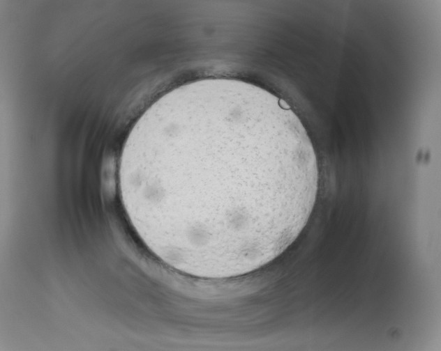 X0000112730022200910011208