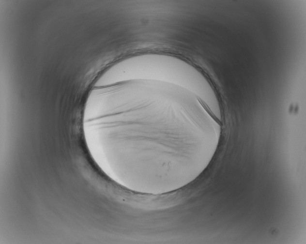 X0000112730023200910011208