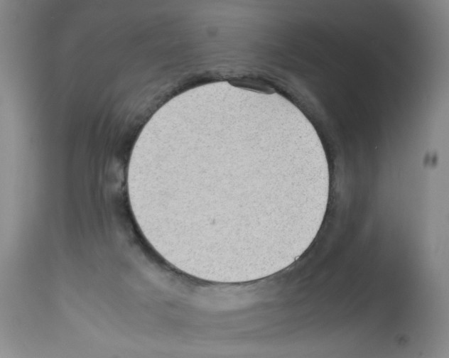 X0000112730025200910011208