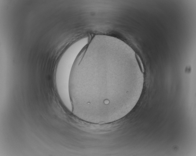 X0000112730027200910011208