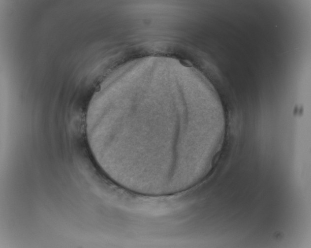 X0000112730029200910011208