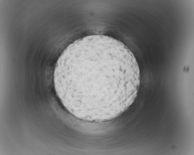 X0000112730030200910011208