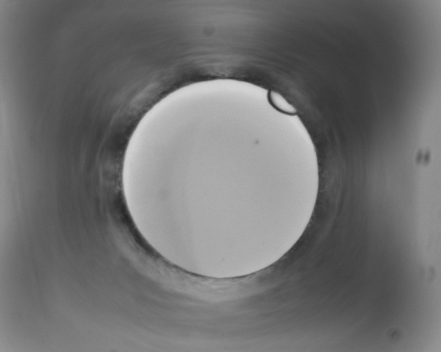 X0000112730031200910011208