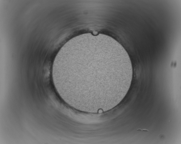 X0000112730032200910011208