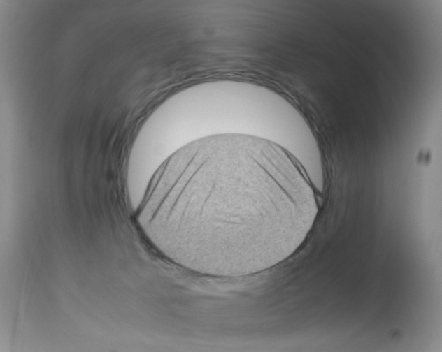 X0000112730033200910011208