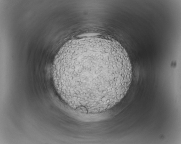 X0000112730034200910011208
