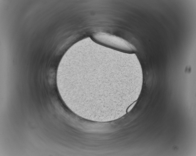 X0000112730036200910011208