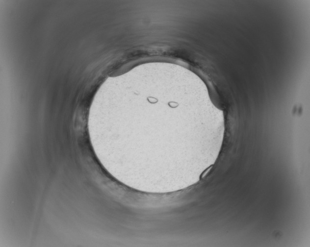 X0000112730037200910011208