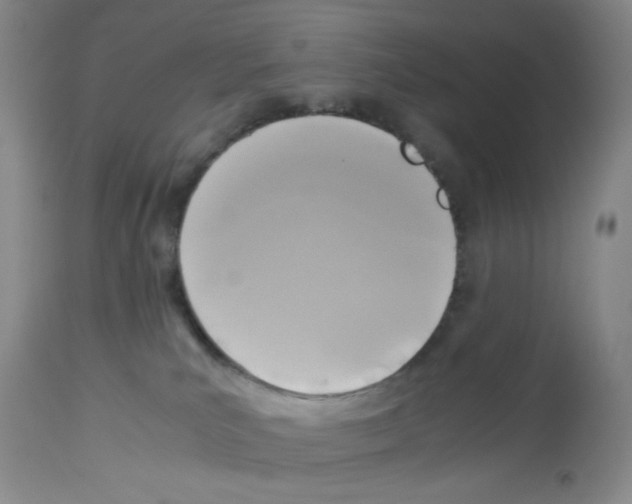 X0000112730039200910011207