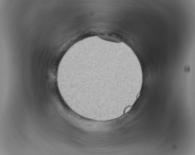 X0000112730040200910011207