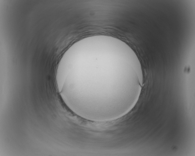 X0000112730041200910011207
