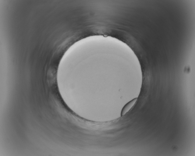 X0000112730043200910011207