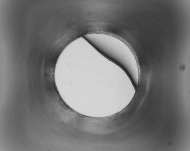 X0000112730045200910011207