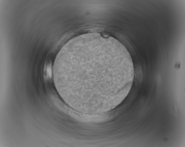 X0000112730046200910011207