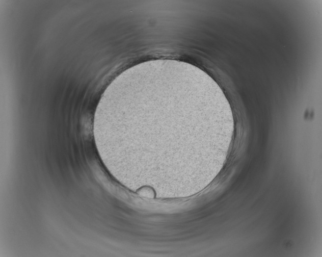 X0000112730048200910011207
