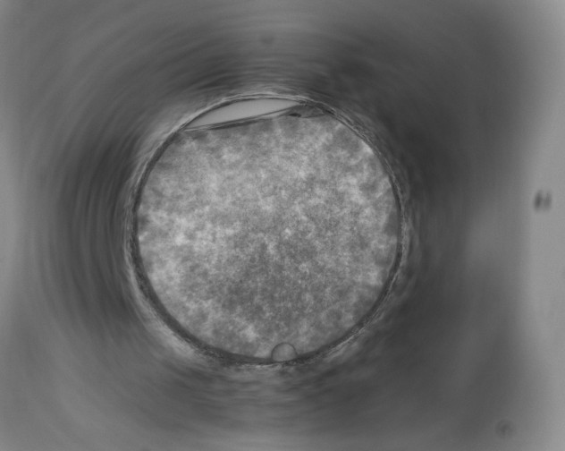 X0000112730049200910011206