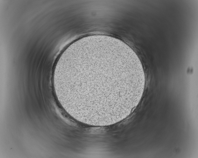 X0000112730050200910011206