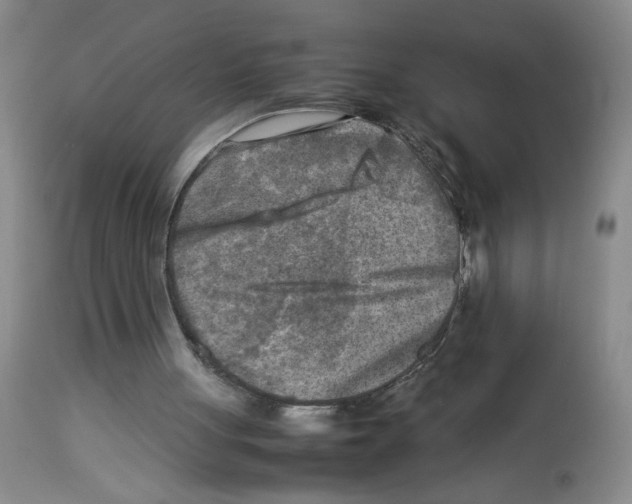 X0000112730051200910011206