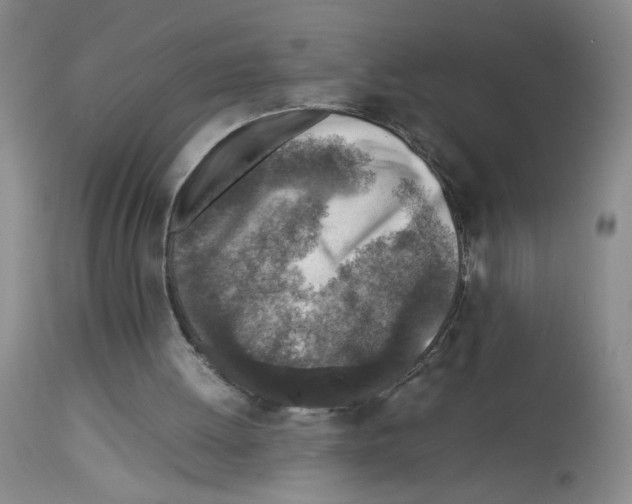 X0000112730052200910011206