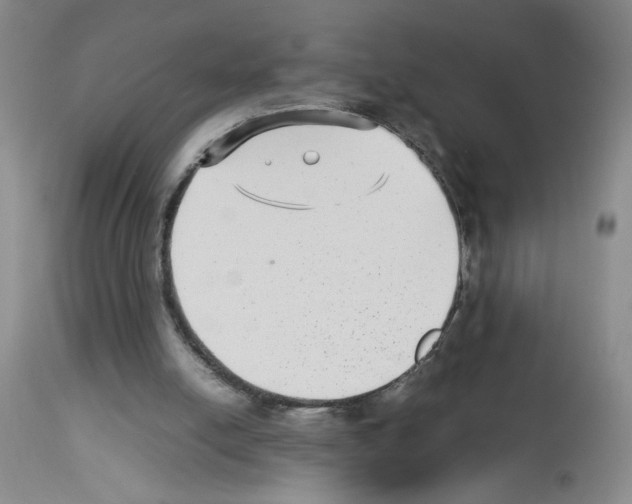 X0000112730054200910011206
