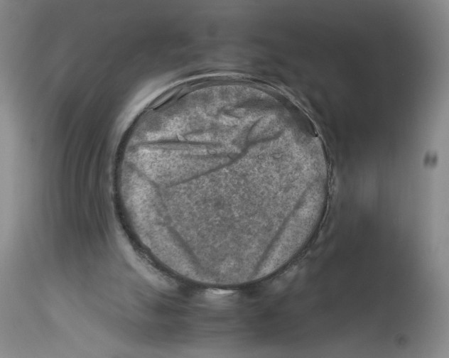 X0000112730055200910011206