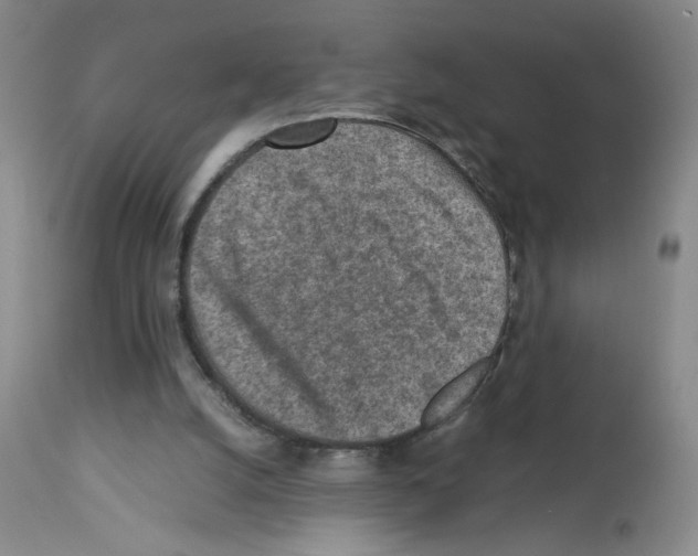 X0000112730056200910011206