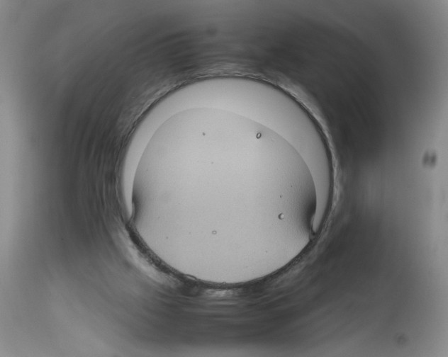 X0000112730057200910011206