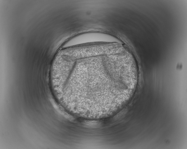 X0000112730058200910011206