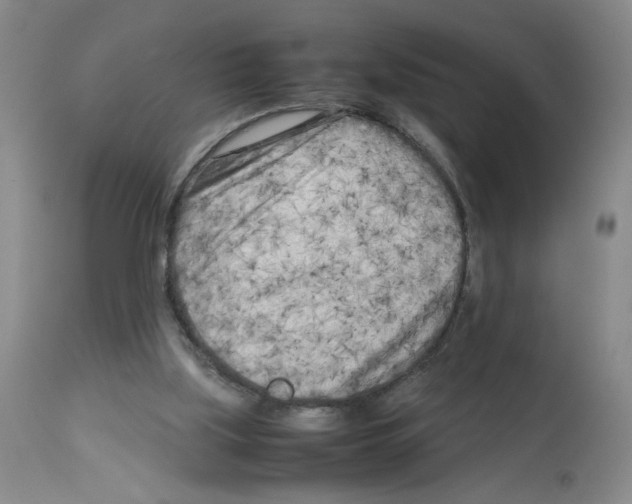 X0000112730059200910011207