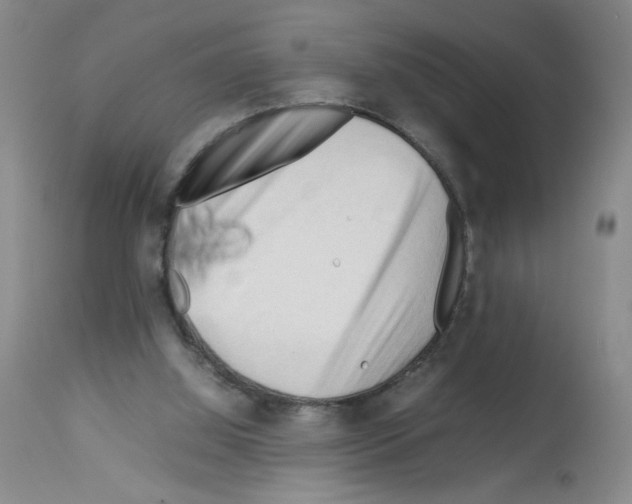 X0000112730060200910011207