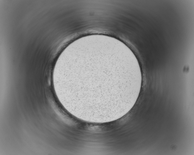X0000112730062200910011207
